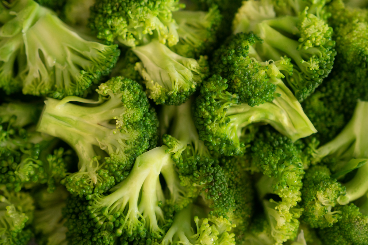 Brócolis: saiba como plantar esse delicioso legume