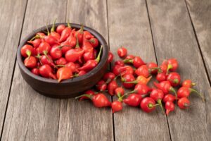 Pimenta biquinho: veja o passo a passo de uma colheita de sucesso