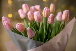 Como plantar tulipas de um jeito fácil e sem muitos recursos