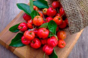 Guia completo de como plantar acerola em casa