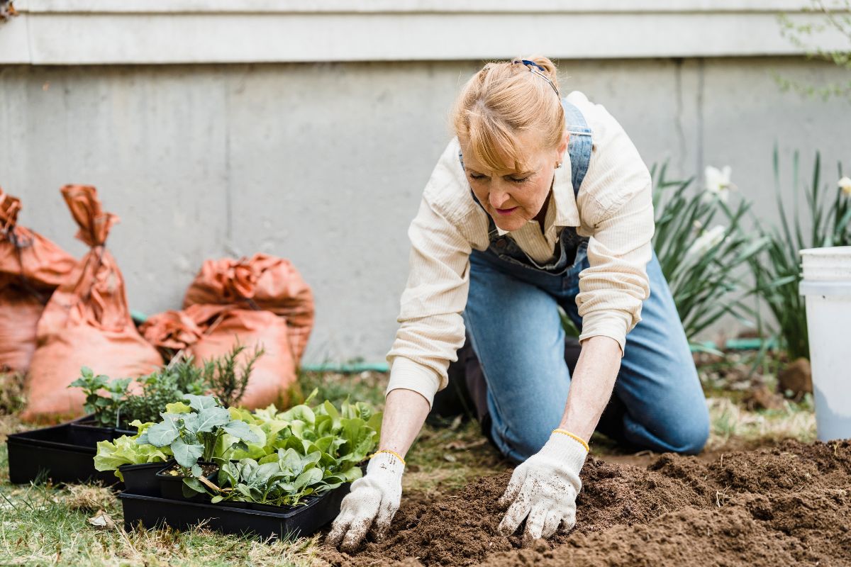 5 dicas de profissionais para um iniciante na jardinagem