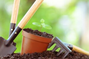 Iniciante na jardinagem - Reprodução do Canva