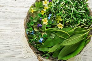 Plantas comestíveis? Aprenda a fazer uma horta caseira de PANC's