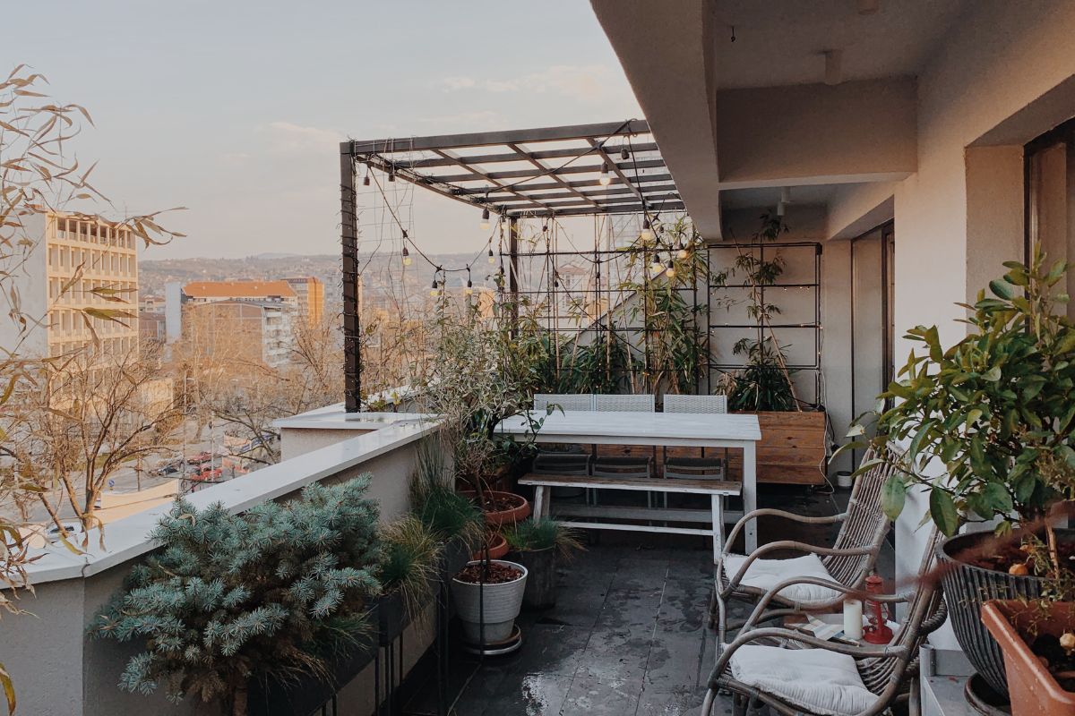 Jardim vertical Apartamento - Reprodução Canva