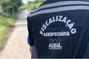 ADEAL: concurso visa preencher 60 vagas - reprodução internet