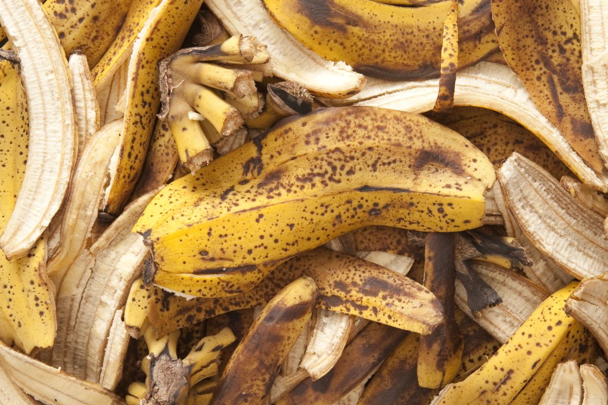 cascas de banana - Reprodução do Canva
