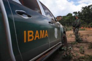 Concurso IBAMA: mais de 2.400 vagas para proteção ambiental. Foto: reprodução internet