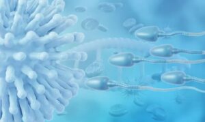 Imagem de espermatozóide