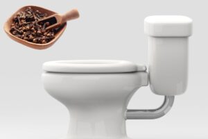 Cravo-da-Índia no vaso sanitário - Reprodução Canva