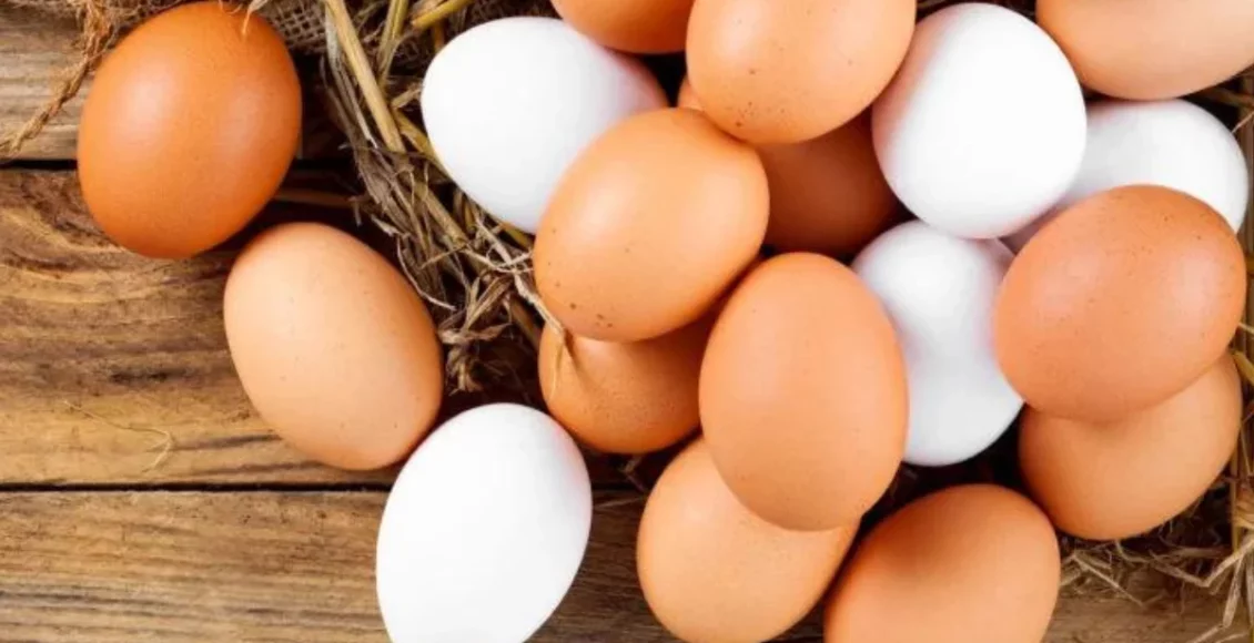 Não jogue fora as cascas dos ovos sem saber disso - reprodução