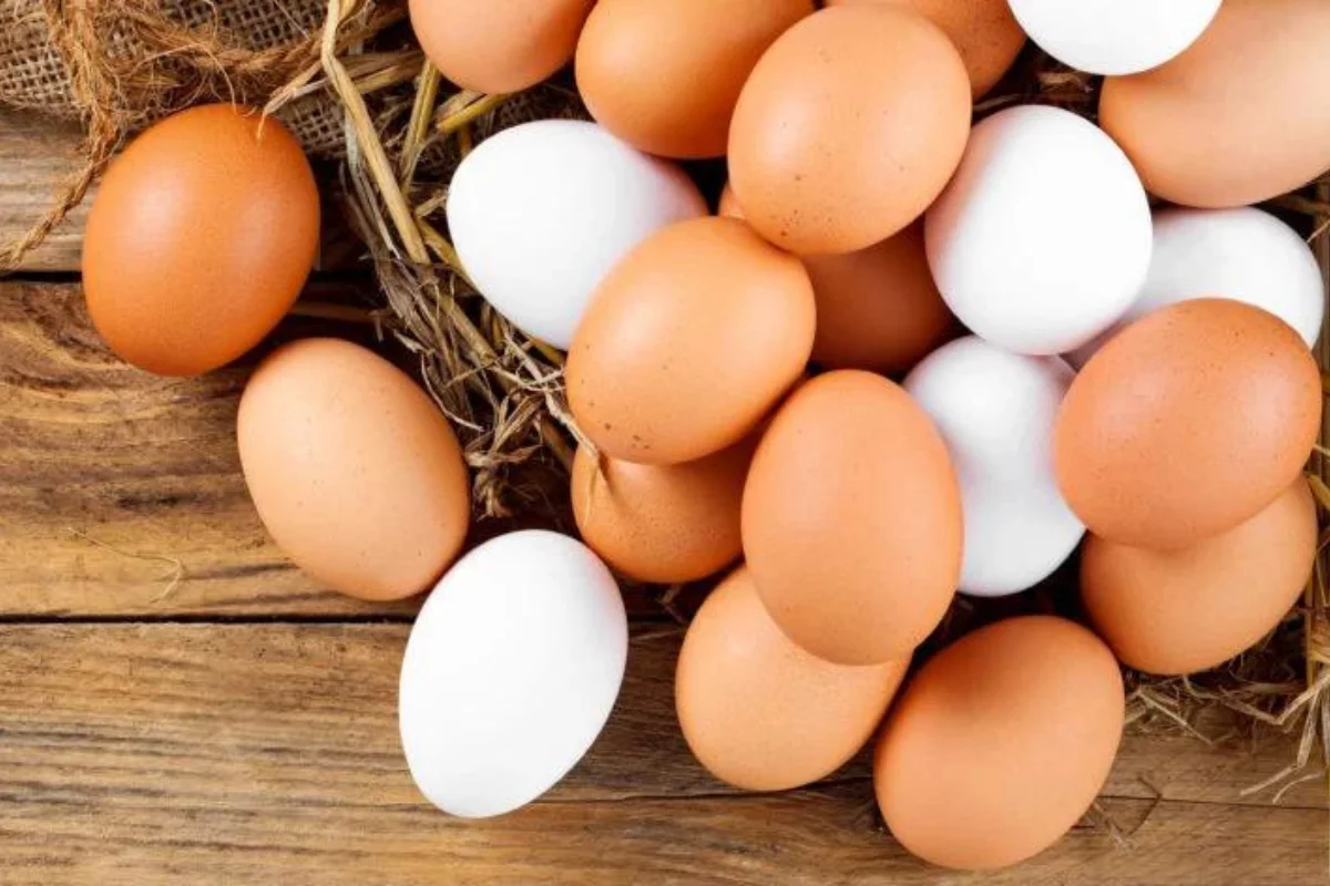 Não jogue fora as cascas dos ovos sem saber disso - reprodução