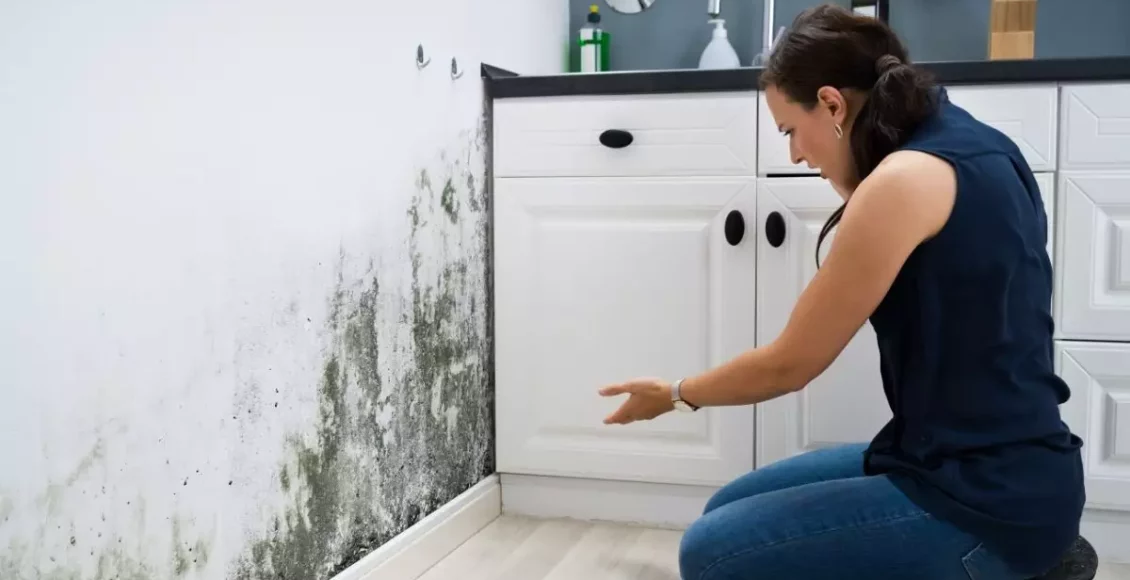 Descubra truques caseiros para acabar com o mofo e umidade nas paredes - reprodução
