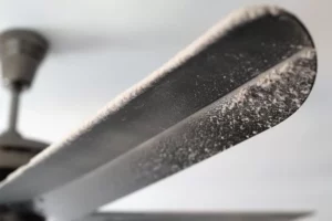 Aprenda a limpar ventilador de teto de um jeito simples - reprodução internet