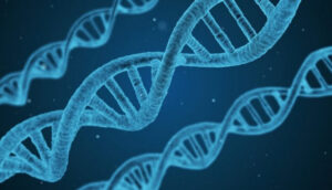 Imagem DNA
