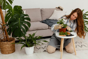 Porque você deve colocar açúcar nas suas plantas - Canva