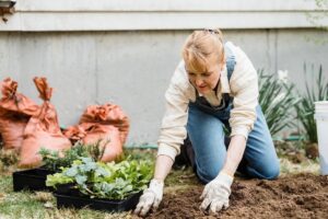 Dicas para quem quer começar na jardinagem - Canva