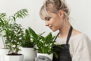 Você limpa as folhas das suas plantas Veja os motivos - Canva