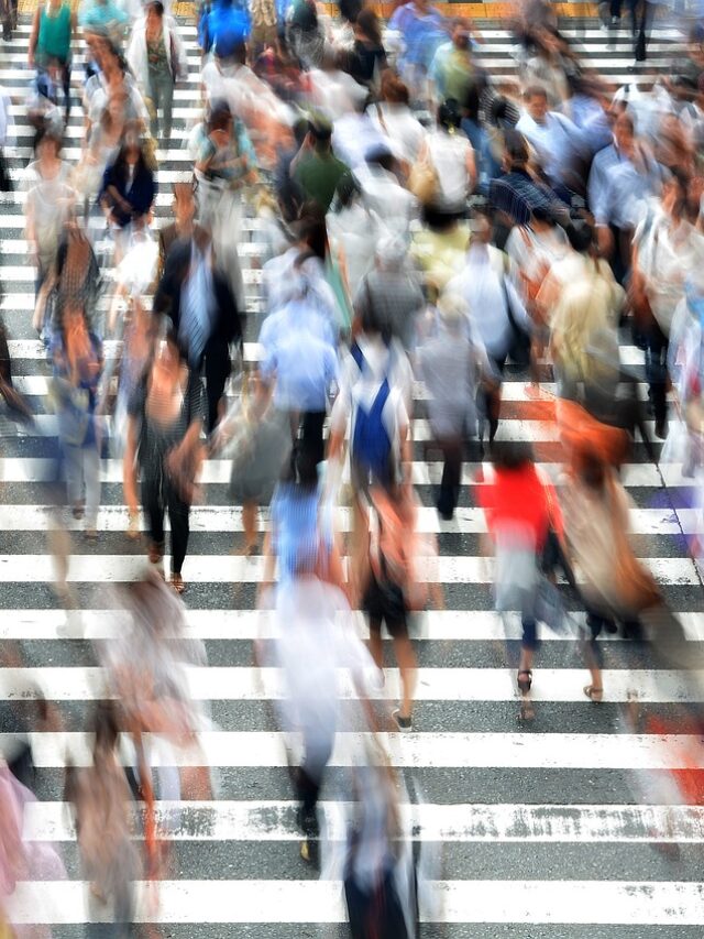Direitos do cidadão: Um guia completo para entender melhor
