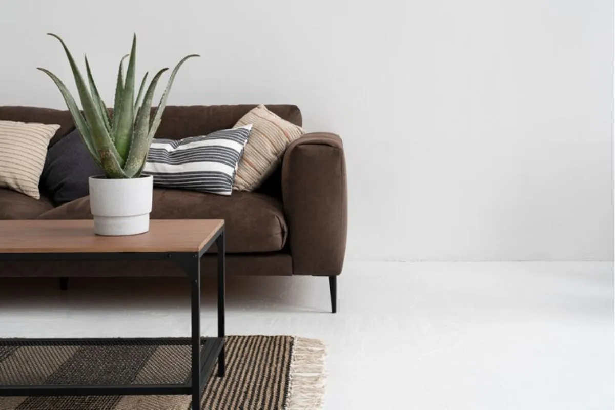 Como criar decoração minimalista usando plantas naturais