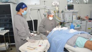 Governo do Tocantins publica MP que amplia contratações de médicos especialistas