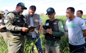 Desmatamento no Tocantins tem redução de 43% em cinco meses, com destaque para o Bioma Amazônico