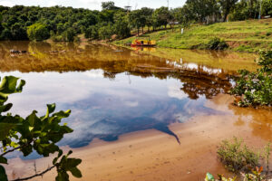 Cerca de 10 mil litros de óleo são descartados no lago e córrego do Parque Cesamar; investigação apura danos ambientais