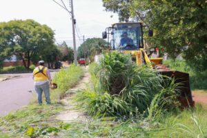 Operação Cidade Limpa realiza retirada de entulhos, plantio de mudas e outras ações em Palmas nesta segunda-feira, 6