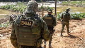 Concurso do Ibama no Tocantins oferece 59 vagas com salário inicial de R$ 9,9 mil