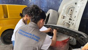 Prefeitura de Palmas começa a instalar armadilhas para capturar ovos do mosquito da dengue em várias regiões da cidade