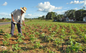 Governo do Tocantins destina R$ 180 milhões à agricultura familiar com apoio do Banco Mundial