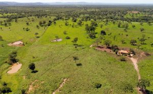 Tocantins recebe apoio financeiro da União Europeia para implantação do CAR 2.0 e Selo Verde