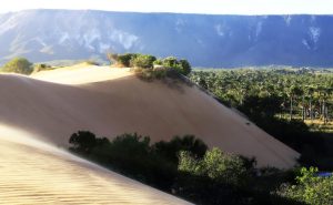 Governo do Tocantins e UFT lançam curso de Turismo em São Félix com 40 vagas