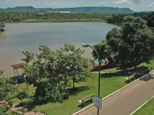Macaco encontrado morto no Parque Cesamar não tinha febre amarela nem raiva, aponta laudo