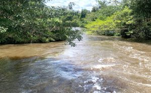 Redução de queimadas em 55% contrasta com chuvas abaixo da média em cinco municípios do Tocantins