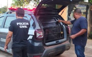 Homem é preso suspeito de estuprar mulher com deficiência e ameaçar atear fogo nas vítimas