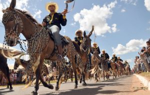 MPTO cobra ações para evitar maus-tratos a cavalos durante cavalgada em Araguaína