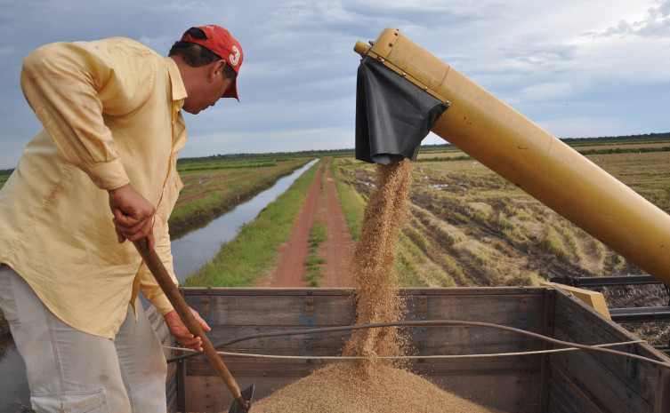 Tocantins cresce 250% na produção agrícola em 5 anos e supera média nacional Tocantins cresce 250% na produção agrícola em 5 anos e supera média nacional