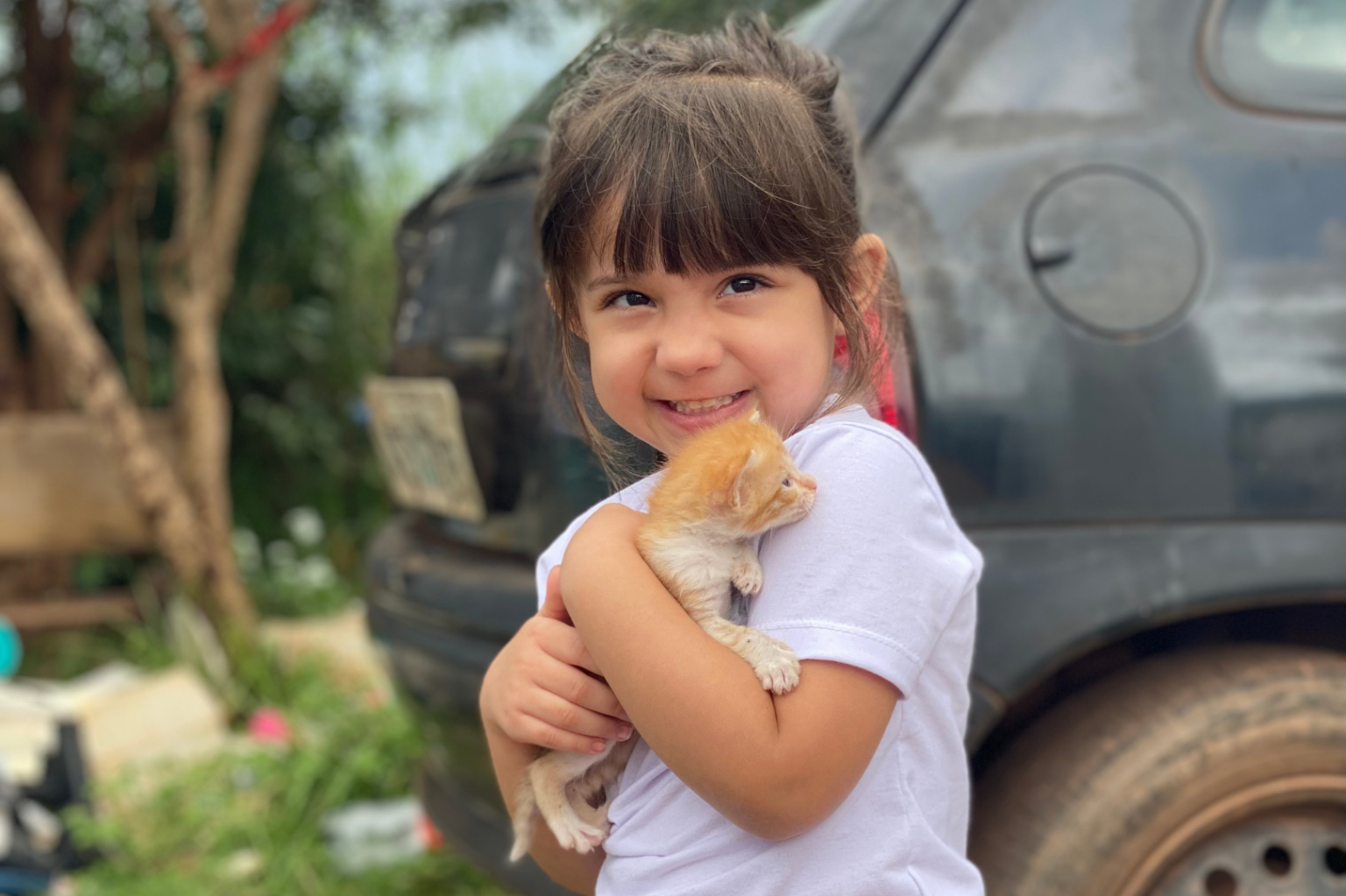 "ArraiAU dos Bichinhos" em Palmas une festa e adoção de pets vacinados e castrados neste domingo, 1º "ArraiAU dos Bichinhos" em Palmas une festa e adoção de pets vacinados e castrados neste domingo, 1º
