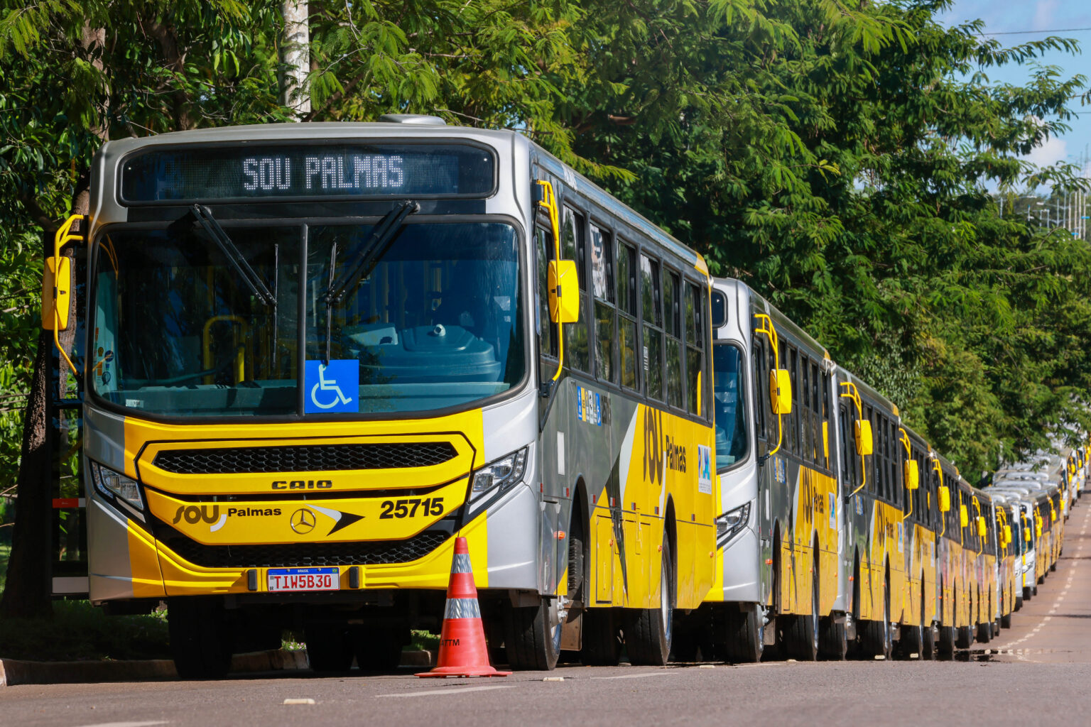 Prefeitura de Palmas isenta idosos e pessoas com deficiência de ir aos postos para obter novo cartão de transporte Prefeitura de Palmas isenta idosos e pessoas com deficiência de ir aos postos para obter novo cartão de transporte