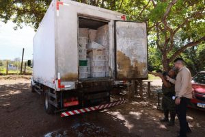 Fiscalização flagra caminhão com 2 toneladas de peixe a mais do que o declarado em nota e apreende carga em Palmas