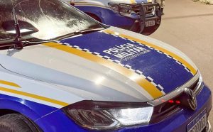 Homem encontra corpo em decomposição na TO-222 após notar forte cheiro vindo do mato; vítima estava desaparecida