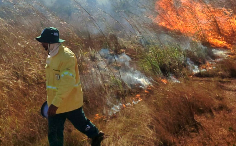 Uso controlado do fogo vira ferramenta para evitar grandes queimadas no Tocantins