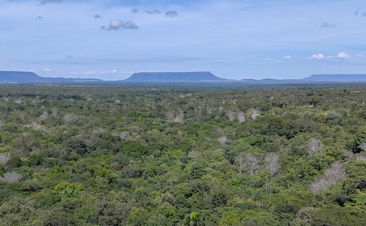 Tocantins registra queda de 23,5% no desmatamento entre janeiro e maio de 2025 Tocantins registra queda de 23,5% no desmatamento entre janeiro e maio de 2025