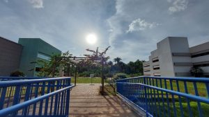 UFNT abre inscrições para contratar professores substitutos com salários de até R$ 8 mil