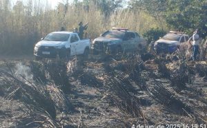 Empresa é multada em R$ 60 mil após incêndio atingir área de reserva durante serviço na Ferrovia Norte-Sul no Tocantins