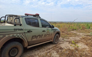 Homem é autuado por incêndio criminoso que consumiu 1,12 hectares em chácara no município de Dois IrmãosNesta segunda-feira, 22, um homem de 44 anos foi autuado por incêndio criminoso no município de Dois Irmãos. A ação faz parte da Operação Protetor dos Biomas, que combate crimes ambientais em todo o Tocantins.