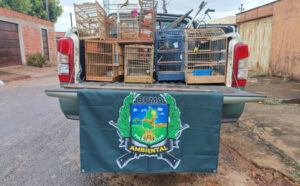Dezoito aves silvestres são resgatadas de cativeiro ilegal em Araguaína; multa aplicada é de R$ 9 mil