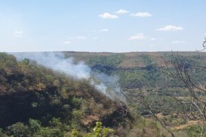 Incêndio de grande porte em Taquaruçu é controlado após dois dias de combate com 12 brigadistas e apoio de viaturas