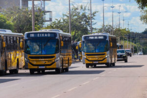 19º Festival Gastronômico de Taquaruçu terá ônibus extras e transporte gratuito; confira horários e atrações