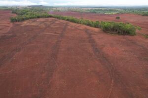 BPMA aplica multa de R$ 500 mil por desmatamento de quase 100 hectares em no norte do Tocantins